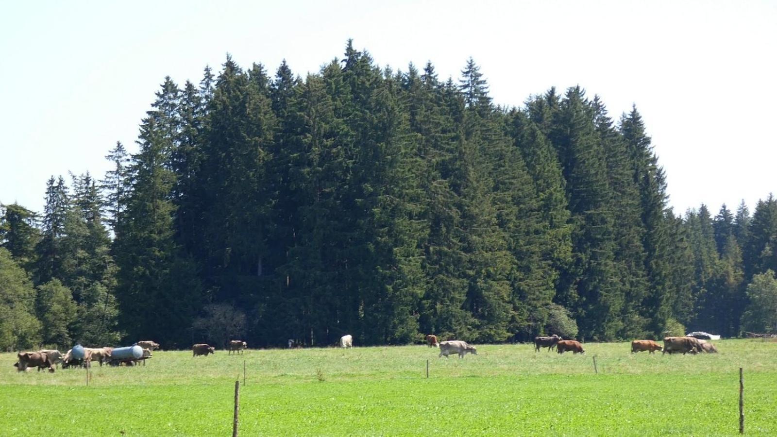 Ferienwohnung Nr 5, Lechbruck-Gruendl, Allgaeu Prem Esterno foto